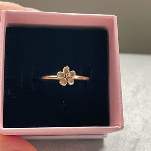 Pandora Size 7 1/2 Gold